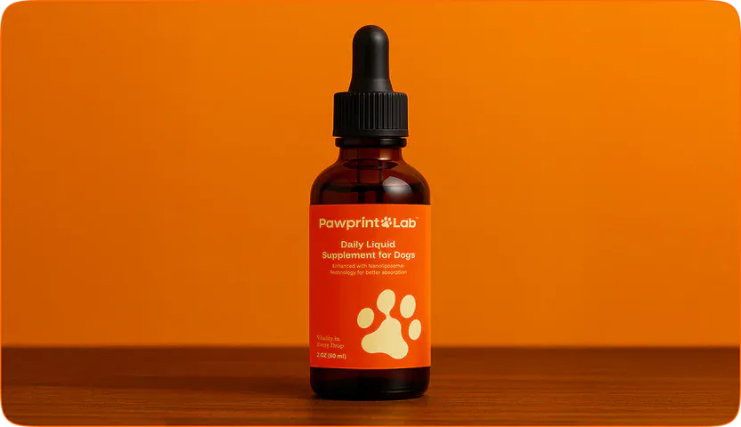 Pawprint Protocol bottle on wooden surface with orange background